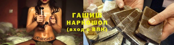 гидра Богородицк