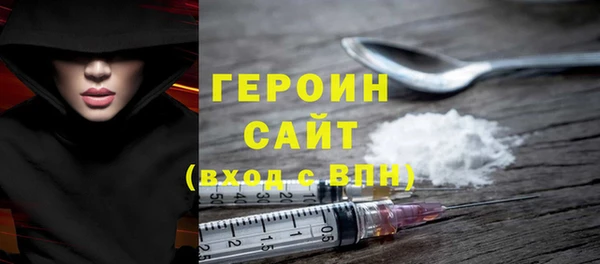 гидра Богородицк