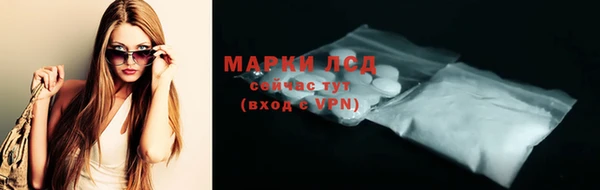 гидра Богородицк