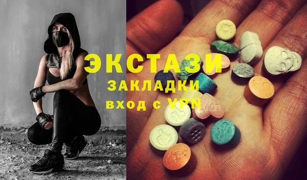 гидра Богородицк
