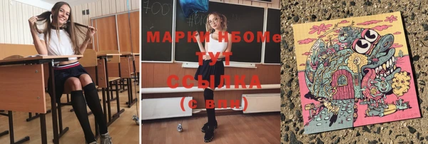 гидра Богородицк