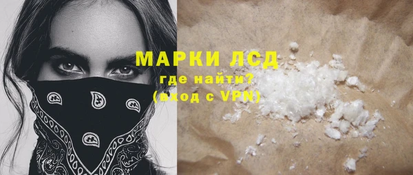 гидра Богородицк