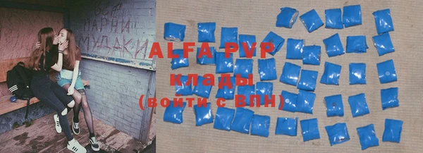 гидра Богородицк