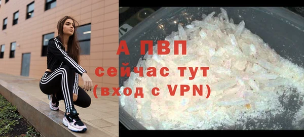 гидра Богородицк