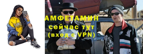 гидра Богородицк