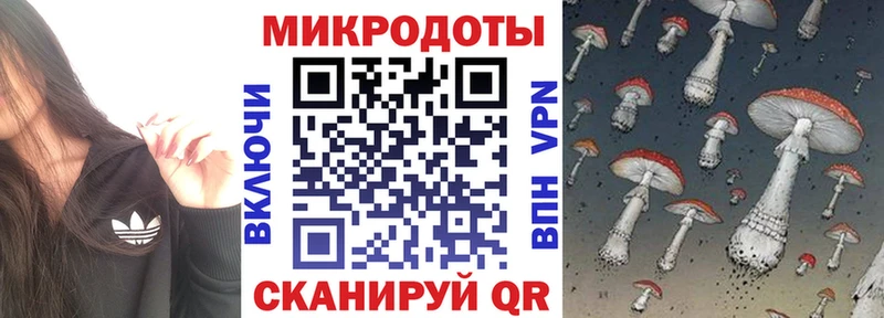 kraken рабочий сайт  сколько стоит  Кондрово  даркнет состав  Псилоцибиновые грибы Cubensis 